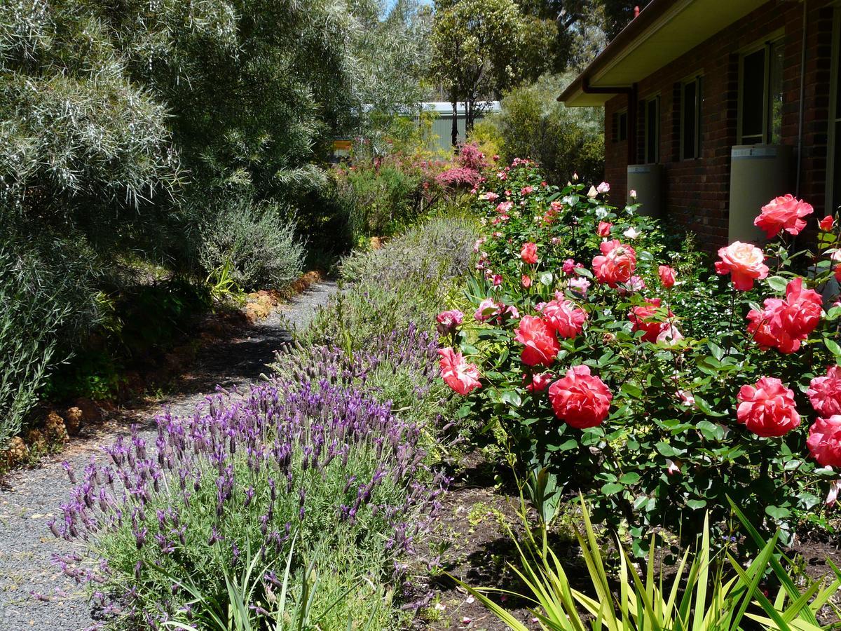 Country Charm Retreat B&B Donnybrook Экстерьер фото